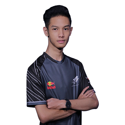 nama pro player PUBG