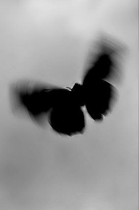 Foto Profil WA Monochrome